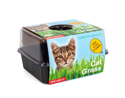 Catnip Grow Kit