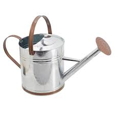 2 Qt. SS Watering Can, Brass