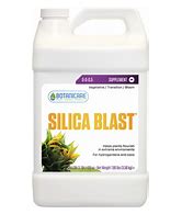 Botanicare Silica Blast - 1 Gal