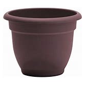 Ariana W/ Grid Planter 8" Merlot Bloem